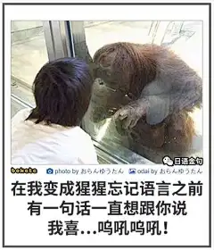来自分享