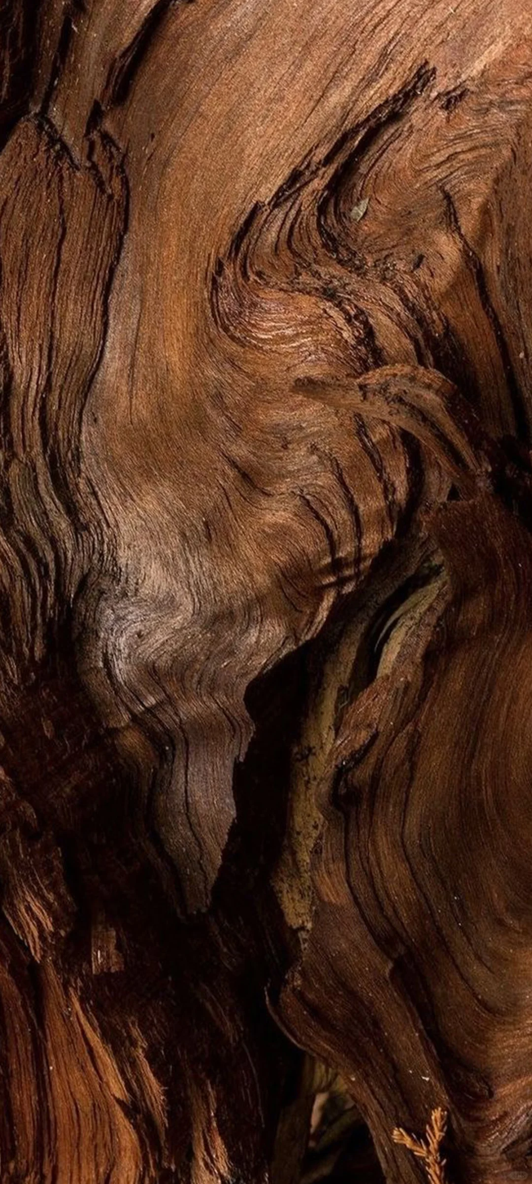 又发现一张还不错的手机壁纸