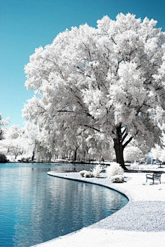 洫脃汐陽采集到雪景