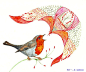 以色列Songbird鸟插画欣赏(2)