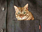 关于很萌很萌的口袋猫咪衬衫——Hiroko Kubota 的 GO! GO! 5