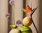 Feast : "Feast" – series of images for CosmosPlantea Floral Designer
