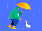 先生鸭子在雨中