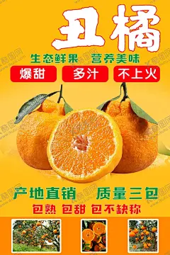 丑橘橘子海报 【酷图网】丑橘,橘子,海报,产地直销,质量三包