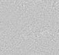 Concrete - Architextures