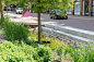 城市中心的海绵街道，荷兰奈弗达尔 / OKRA landschapsarchitecten – mooool木藕设计网