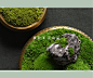 天青苔绿 金属花器艺术青苔手工花艺 样板间酒店会所客厅桌面苔藓-淘宝网