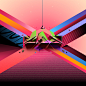 Adobe MAX 2021 : Adobe MAX 2021, the Creativity Conference. A free virtual event Oct 26-28. Event identity celebrating creativity and our creative community. 