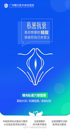 伊想飞的鱼采集到护