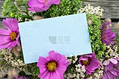 粉色,lambs quarters,儿童节,栽培大波斯菊,景天属植物,礼物标签,周年纪念,贺卡,厚木板,灰色