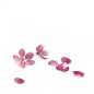 散落花瓣，小花，粉色，png，免扣素材