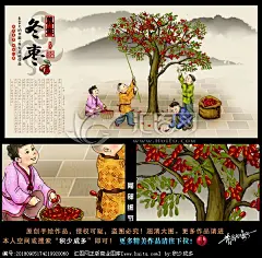 手绘红枣冬枣包装插画