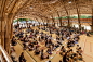 chiangmai life architects builds bamboo sports hall in thailand : this bamboo sports hall for a school in thailand utilizes prefabricated trusses to span more than 17 meters without steel reinforcements or connections.