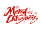 圣诞字4