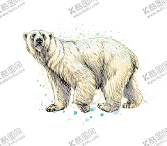 北极熊 【酷图网】卡通,漫画,手绘,插画,插图,狗熊,动物,卡通动物,印花,图案,北极熊,卡通北极熊,熊,卡通小熊,卡通熊,白熊,卡通白熊,卡通小白熊,小白熊,素材,元素,海报素材,可爱,矢量,高清,图片,动物园,北极熊素材,动物保护区,北极生态保护,极地世界,野生动物,北极熊图案,威武,水彩,渐变,凶猛,特写,凶狠,