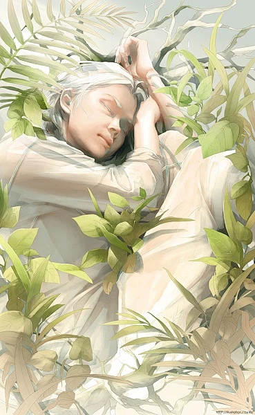 Pixiv Collection-花瓣网