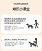MPETS狗狗牵引绳p绳大型犬p链狗绳子中小型犬柯基防爆冲遛狗链子-tmall.com天猫