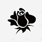 玫瑰花黑色 元素 免抠png 设计图片 免费下载 页面网页 平面电商 创意素材