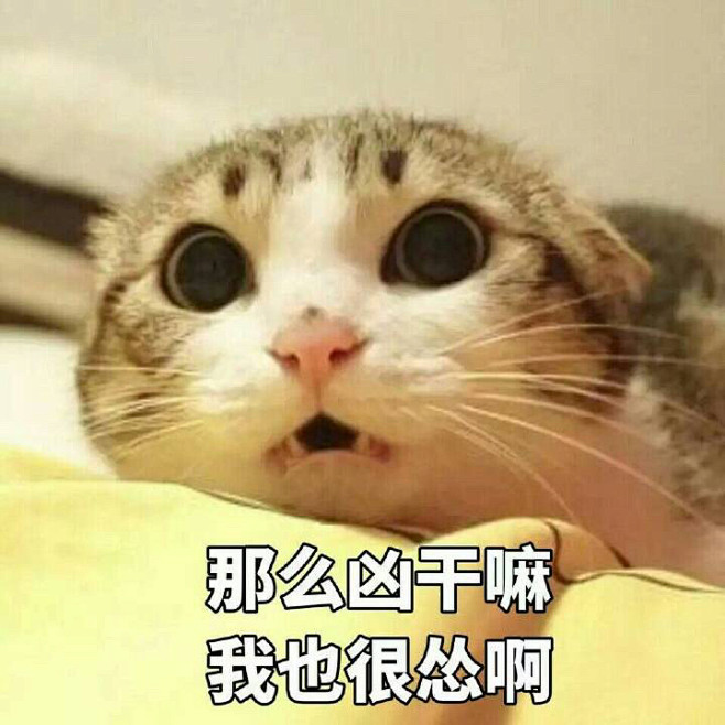 来自相册