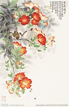凌霄花