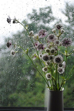 行悠采集到雨的节奏