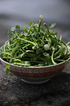 立春，吃野菜。荠菜做汤，剩下的过一下水团成团子冻冰箱包包子饺子慢慢吃。嫩胡葱切碎炒鸡蛋，天再晴一段时间果就会长大些，摘下来做酸胡葱，入坛了盛夏做汤超级开胃。蒲公英烫熟过凉水攥干切碎了凉拌，盐，辣椒，蒜茸，浇一勺热油再来点醋拌匀。野芹菜切段和干辣椒冬至豆豉一起爆炒。 ​​​​
