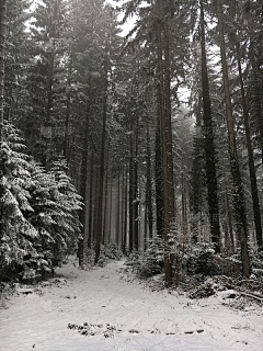 今天吃炸鸡排采集到雪景