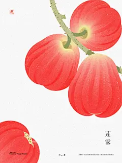莲雾 - 小红书