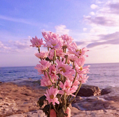 X小鬼采集到花开半夏