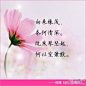 #何以笙箫默#@顾漫 《何以笙箫默》经典语录1