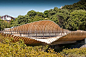 Glulam ribs of the Onepoto Footbridge, Auckland.  Architect: Beca Architects.: