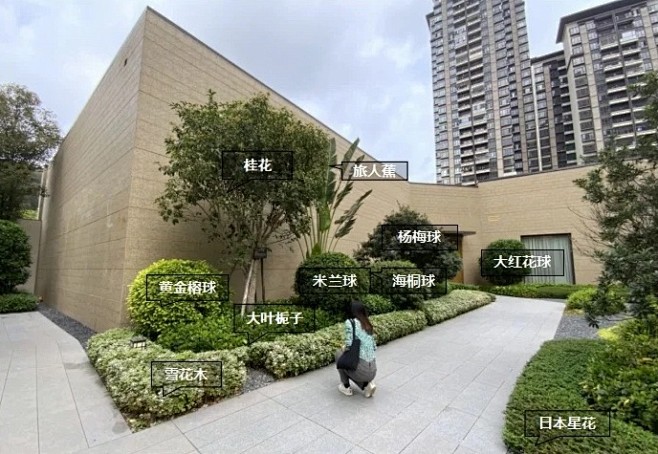 植物配置实景 (109)