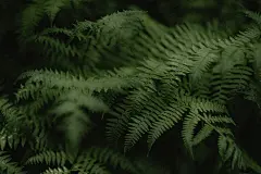 风景高清电脑壁纸