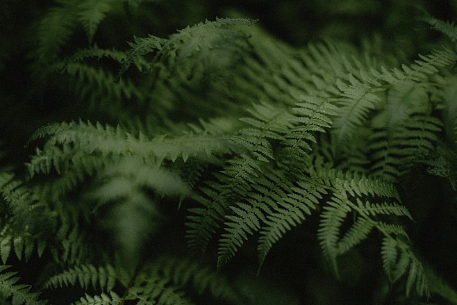 风景高清电脑壁纸