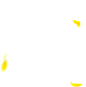 黄色花瓣
