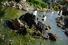 园林,花园路,台阶,水平画幅,无人,夏天,户外,石头,楼梯,植物_4643511856