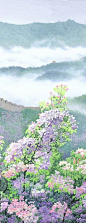 20190619184940_w8Jfi.jpeg (577×1494)