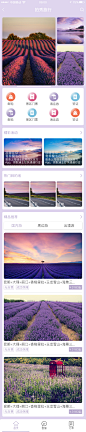 旅游 小程序 首页