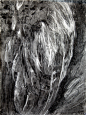 feathers bird black and white marks charcoal ink