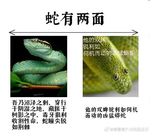 交出你手机里的“反差”图_吊图吧_百度贴吧-花瓣网