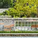 广州增城区山茶属植物主题公园 | 棕榈设计集团 ARCHINA 项目