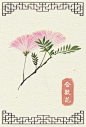 阿昕的自然手绘花绘 花 自然 清新 水彩 植物 图鉴 唯美 中国风 