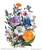 花卉油画30 (50厘米 X 60厘米)大图 点击还原