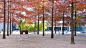 Novartis Headquarters – Forum by PWP Landscape Architecture « Landscape Architecture Platform | Landezine