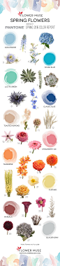 2015 Spring Flowers – Pantone Inspiration: 