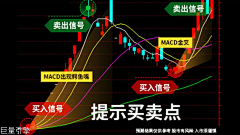 Mr--G采集到信息流 炒股