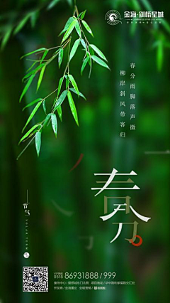 土匪大人采集到节气海报