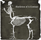 Centaur Skeleton by Prometheus-Nike