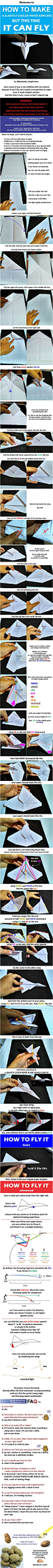 I heard you guys like a paper airplane which can actually fly