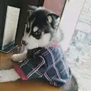 123456公用